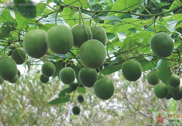 點(diǎn)擊新窗口打開(kāi)大圖