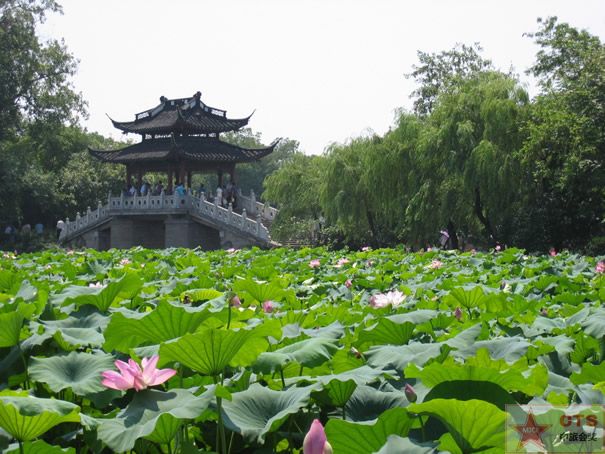 點(diǎn)擊新窗口打開大圖